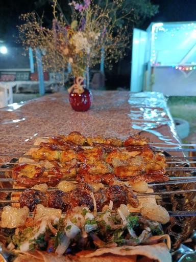 عکس جگرکده کندی بیخ