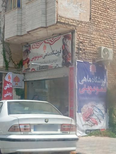 عکس فروشگاه ماهی عمو موینی