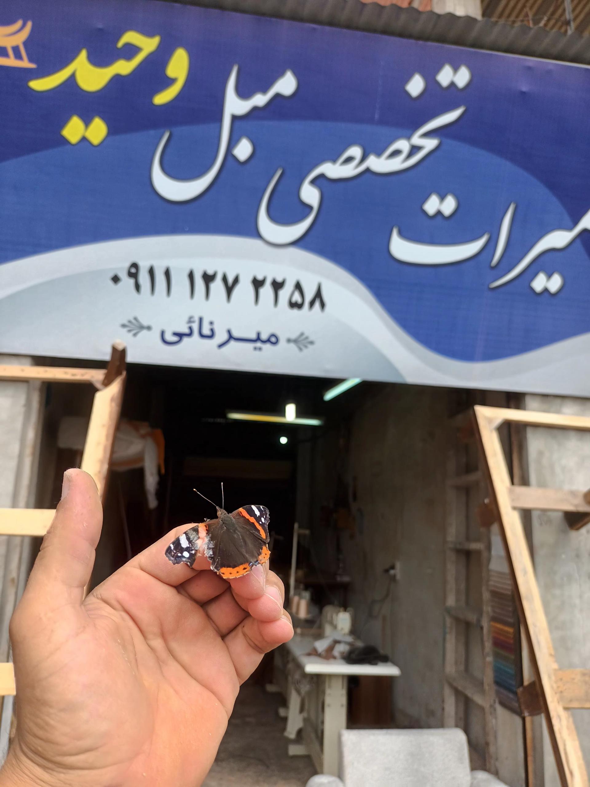 عکس تعمیرات تخصصی مبل وحید