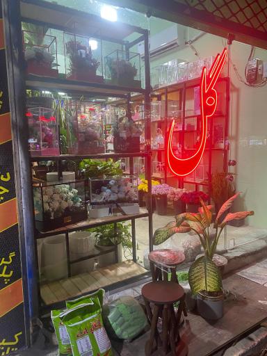 عکس گالری گل وی آی پی