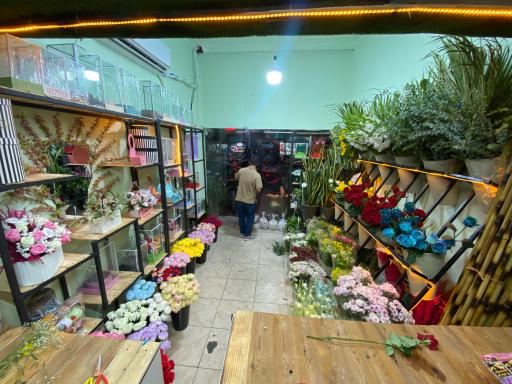 عکس گالری گل وی آی پی