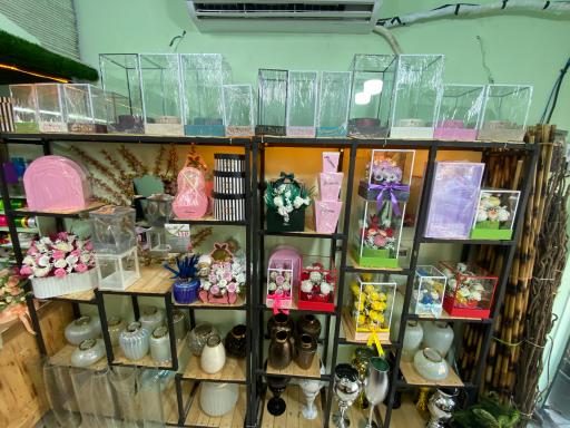 عکس گالری گل وی آی پی