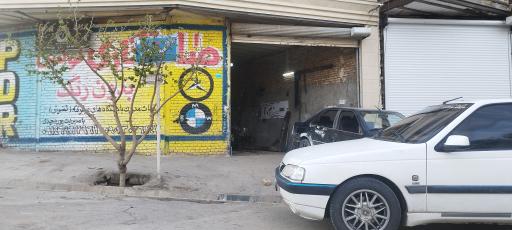 صافکاری میر محمدرضا 