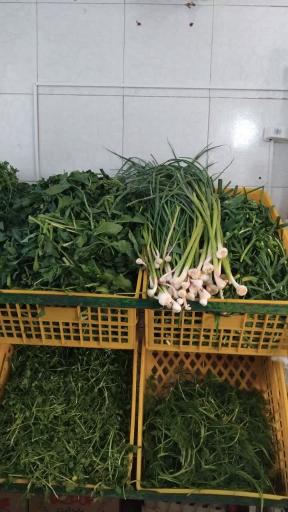 عکس سبزیجات آنا