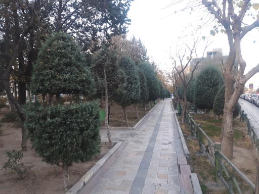 عکس پارک پرستو (گل نبی)