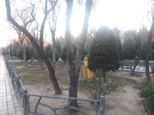 عکس پارک پرستو (گل نبی)