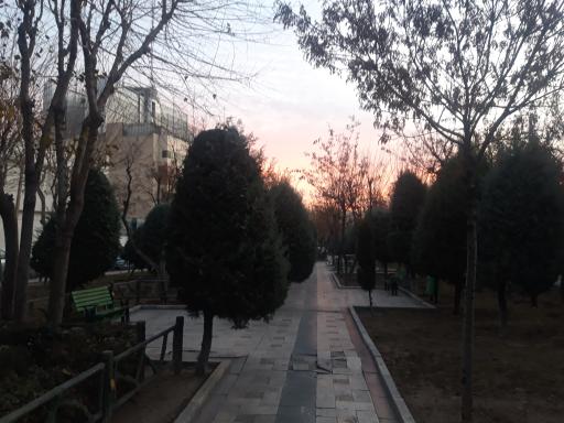 عکس پارک پرستو (گل نبی)