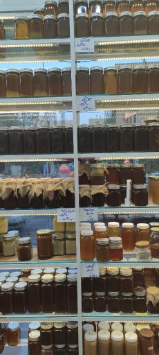 عکس عطاری طبیب یاری