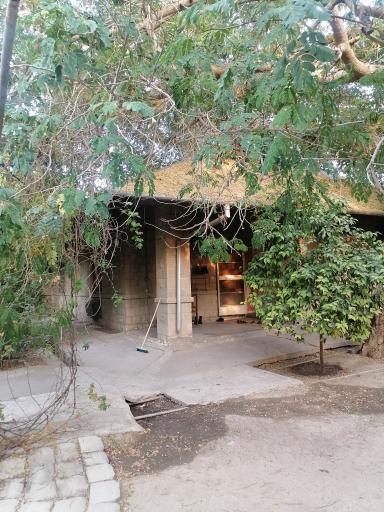 عکس کوی سازمانی ذوالفقار مسجدسلیمان