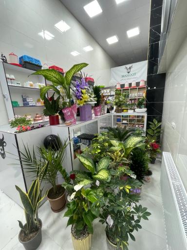 عکس داروخانه دامپزشکی ماهوت