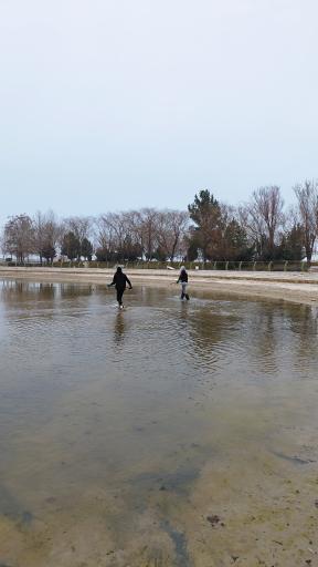 عکس دریاچه سنجاقک