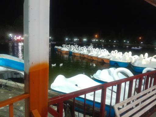 عکس دریاچه سنجاقک