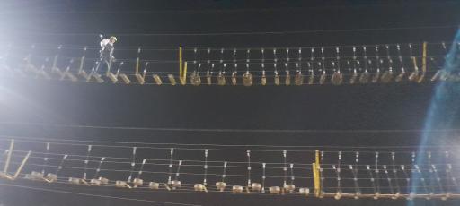 عکس دریاچه سنجاقک