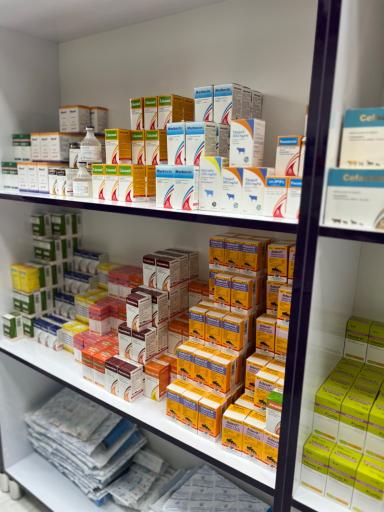عکس داروخانه دامپزشکی ماهوت