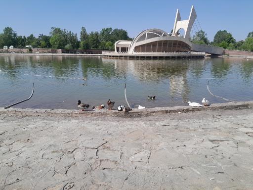 عکس دریاچه سنجاقک