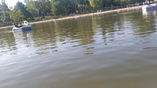 عکس دریاچه سنجاقک