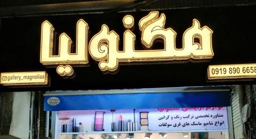 عکس آرایشی مگنولیا