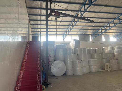 عکس دستمال کاغذی بیرانوند