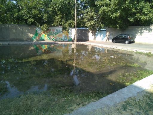 عکس چشمه گول باشی