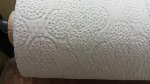 عکس دستمال کاغذی بیرانوند