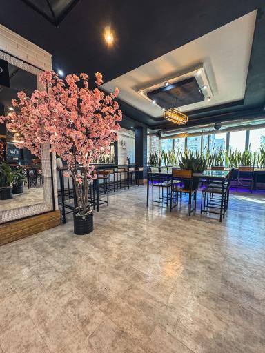 عکس کافه آلویز