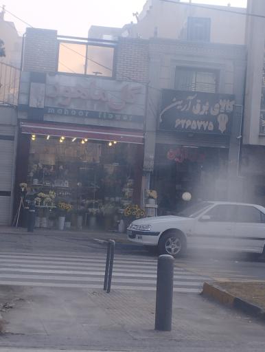 عکس گل ماهور