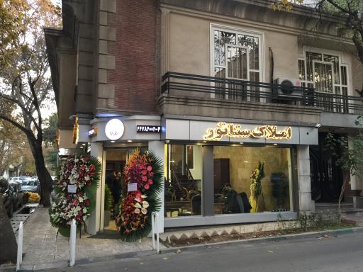 عکس مشاورين املاک سناتور