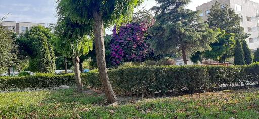 عکس پارک لادن