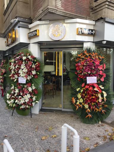 عکس مشاورين املاک سناتور