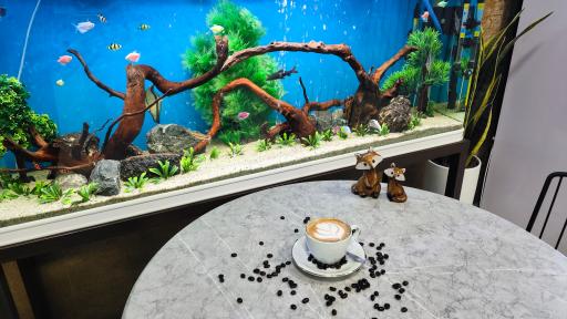 عکس کافه مون