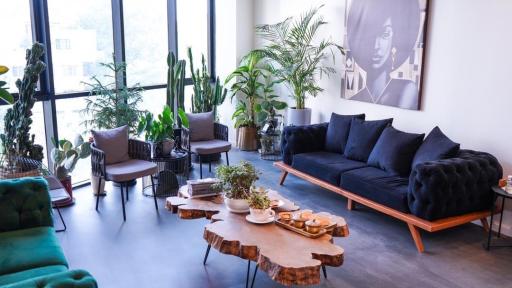 عکس دندانپزشکی بیومونت