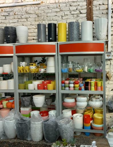 عکس گلخانه علی قطبی