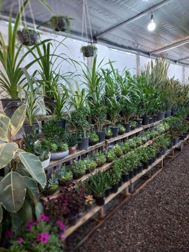 عکس گلخانه علی قطبی