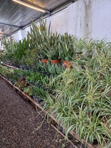 عکس گلخانه علی قطبی