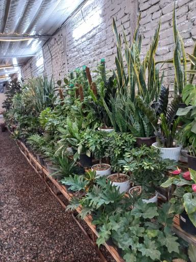 عکس گلخانه علی قطبی