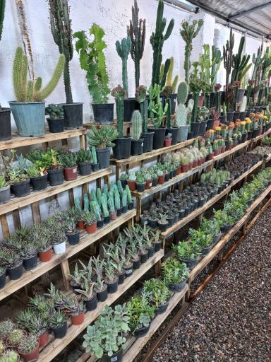 عکس گلخانه علی قطبی