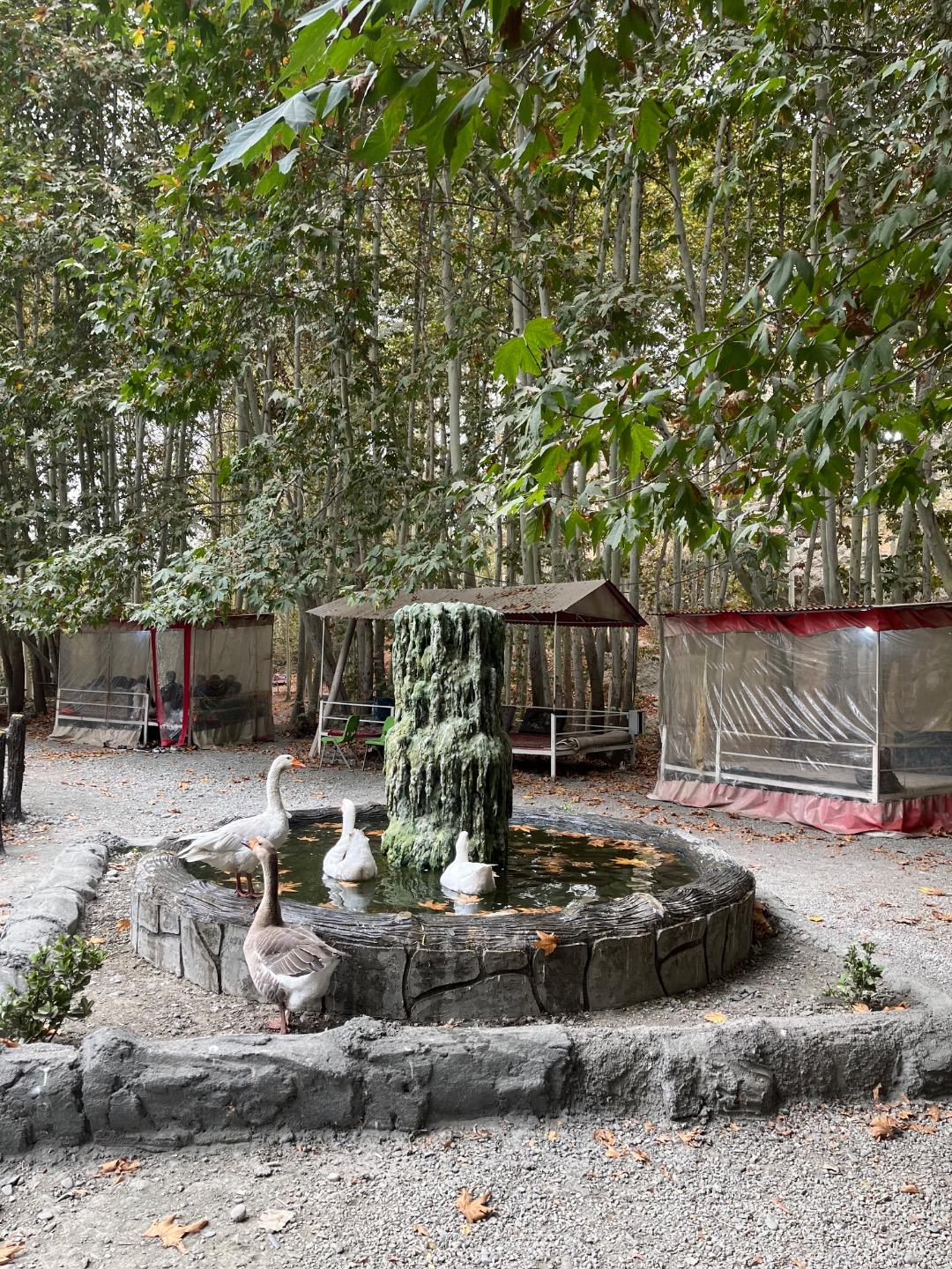 عکس استراحتگاه بهشت پنهان