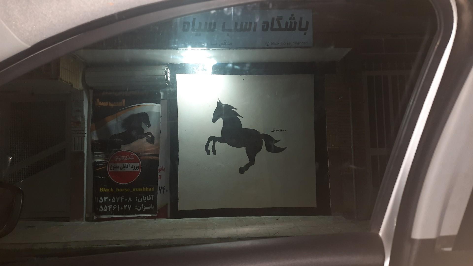 عکس باشگاه بدنسازی اسب سیاه