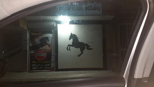 عکس باشگاه بدنسازی اسب سیاه