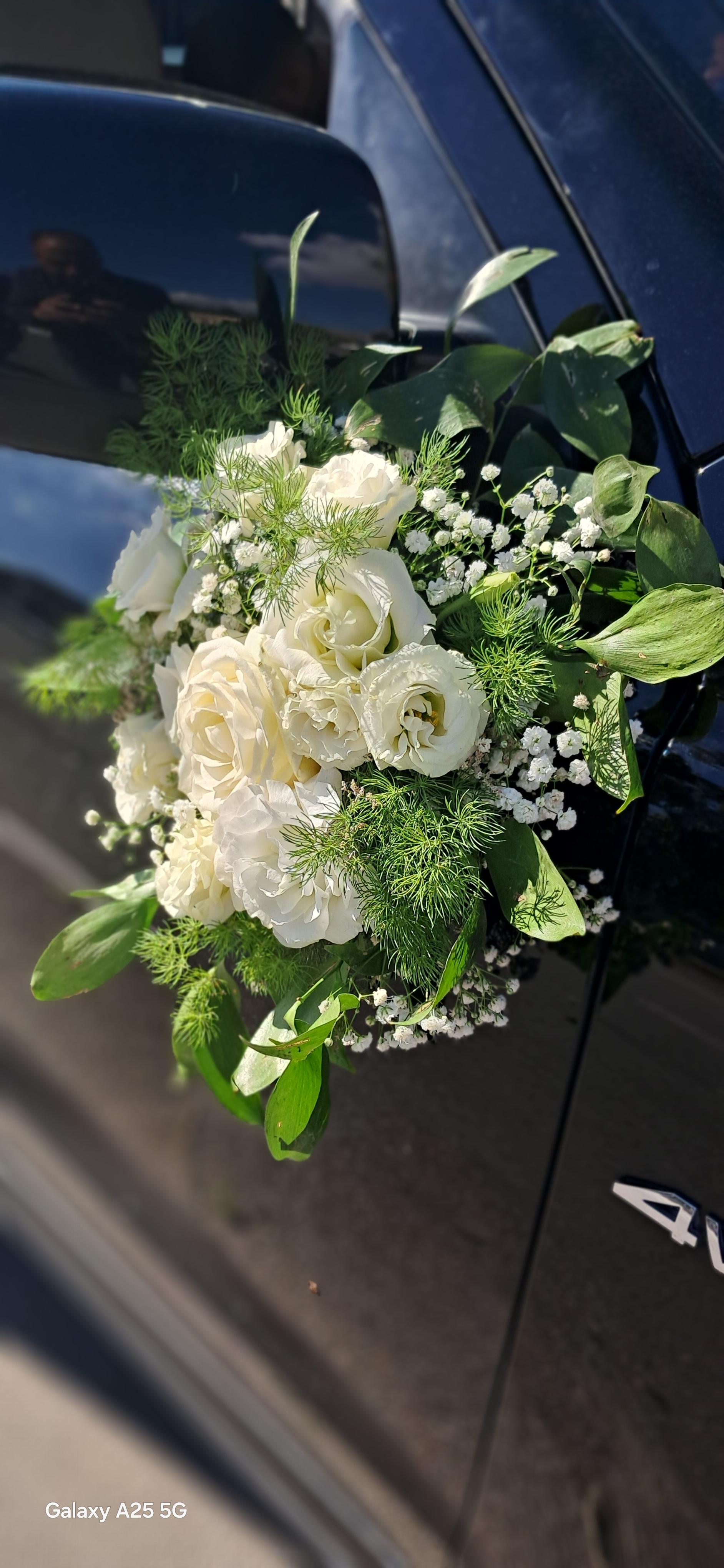 عکس گل میخک