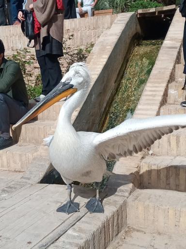 عکس باغ گلشن