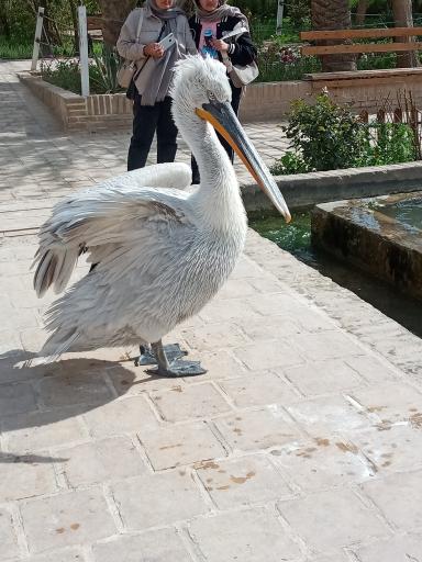 عکس باغ گلشن