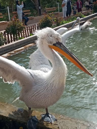 عکس باغ گلشن