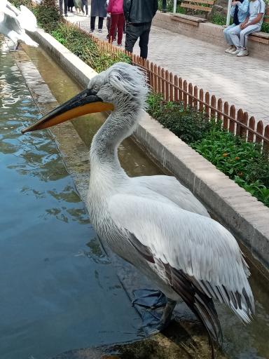 عکس باغ گلشن