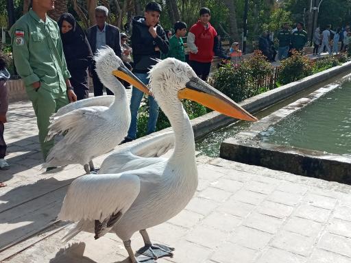 عکس باغ گلشن