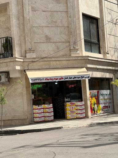 عکس  ویتا میلاد