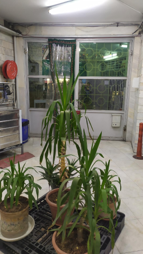 عکس مسجد جامع محمدی