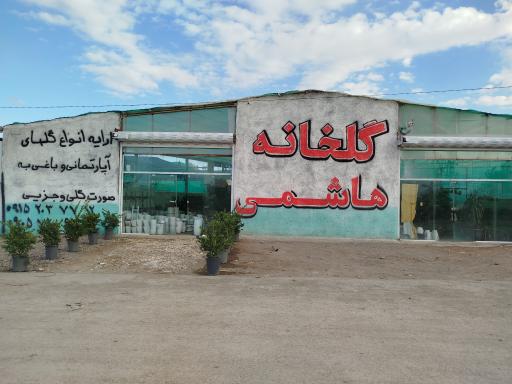 عکس گلخانه هاشمی 
