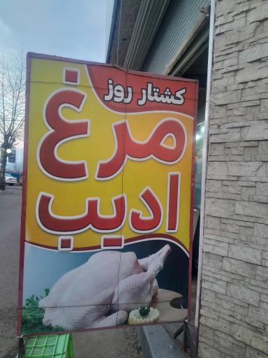 عکس فروشگاه مرغ ادیب