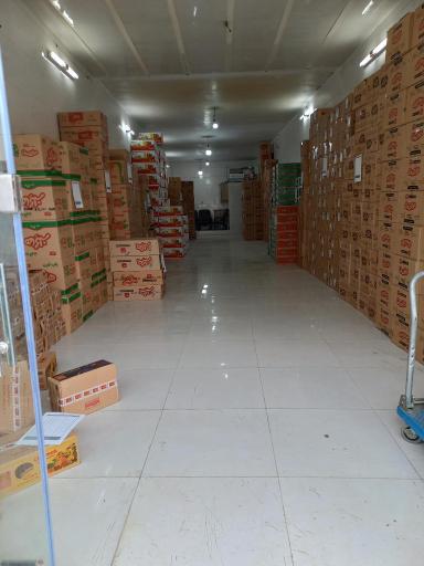 عکس خشکبار کاوه 